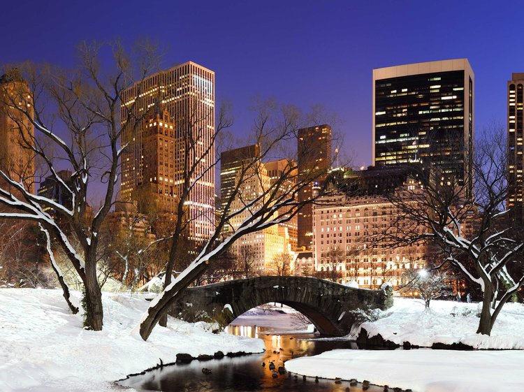 Central Park in Winter