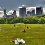 Sheep Meadow