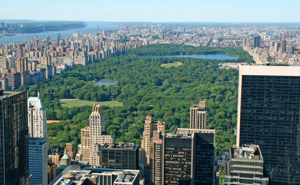 Central Park View from City