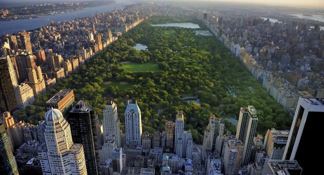 Central Park view from city