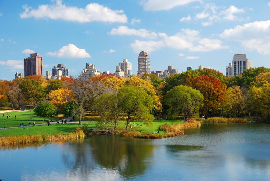 Central Park New York