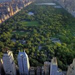 Central Park View from City
