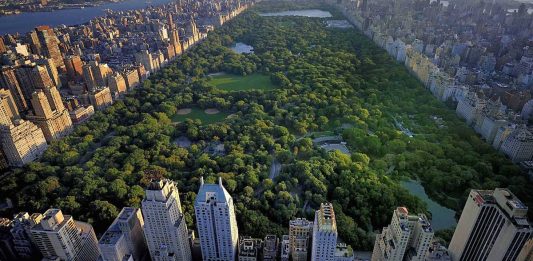 Central Park View from City
