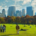 Central Park in Summer