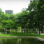 สวนสันติภาพ2