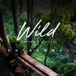 Wild Coffee & Bistro คาเฟ่กลางป่า เชียงใหม่