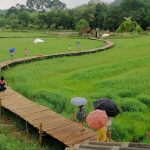 สะพานทุ่งนามุ้ย