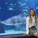 SEA LIFE Bangkok_Discover The New Shark Family7