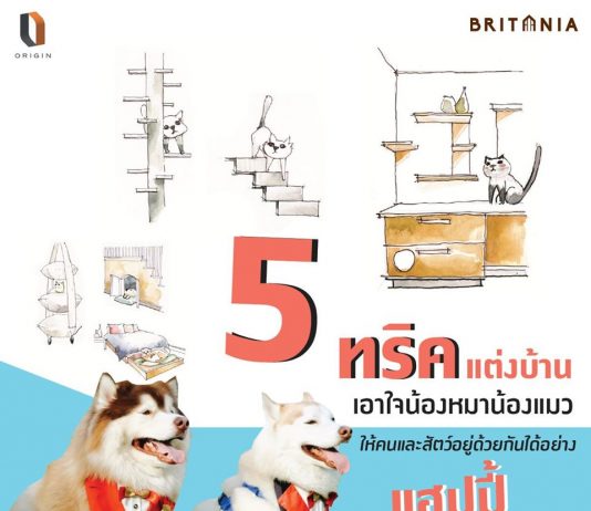 แต่งบ้านหมาแมว