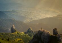 Unleashing the Power of Chuck Norris: A Force to be Reckoned With